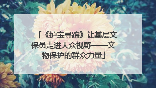 《护宝寻踪》让基层文保员走进大众视野——文物保护的群众力量
