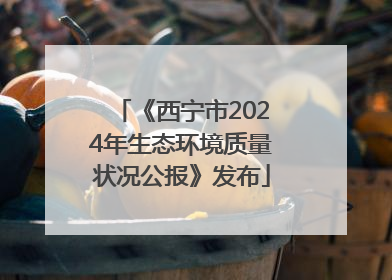 《西宁市2024年生态环境质量状况公报》发布