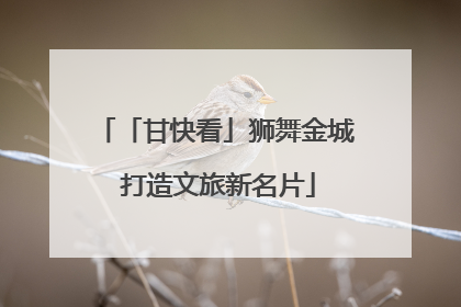 「甘快看」狮舞金城 打造文旅新名片