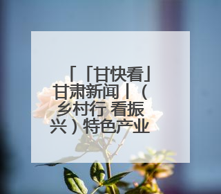「甘快看」甘肃新闻丨（乡村行 看振兴）特色产业托起乡村振兴路