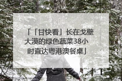 「甘快看」长在戈壁大漠的绿色蔬菜38小时直达粤港澳餐桌