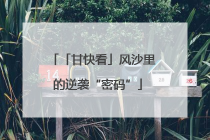 「甘快看」风沙里的逆袭“密码”