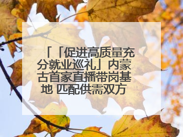 「促进高质量充分就业巡礼」内蒙古首家直播带岗基地 匹配供需双方 促进上岗就业