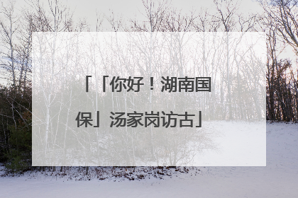 「你好！湖南国保」汤家岗访古