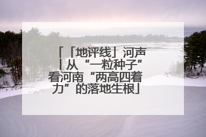 「地评线」河声丨从“一粒种子”看河南“两高四着力”的落地生根