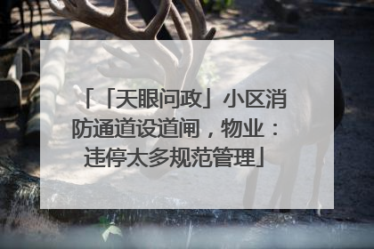 「天眼问政」小区消防通道设道闸，物业：违停太多规范管理