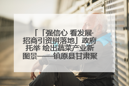 「强信心 看发展·招商引资拼落地」政府托举 绘出蔬菜产业新图景——镇原县甘肃聚广利现代设施蔬菜种植基地见闻