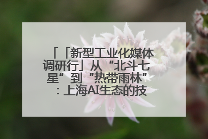 「新型工业化媒体调研行」从“北斗七星”到“热带雨林”：上海AI生态的技术商业共生密码
