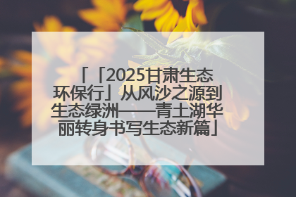 「2025甘肃生态环保行」从风沙之源到生态绿洲——青土湖华丽转身书写生态新篇