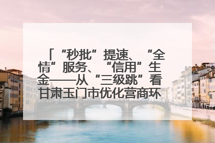 “秒批”提速、“全情”服务、“信用”生金——从“三级跳”看甘肃玉门市优化营商环境的进阶之路