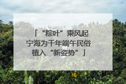 “粽叶”乘风起 宁海为千年端午民俗植入“新姿势”