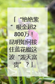 “绝绝紫”吸金超2800万！昆明如何接住蓝花楹这波“泼天富贵”？