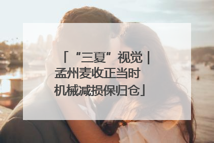 “三夏”视觉｜孟州麦收正当时 机械减损保归仓