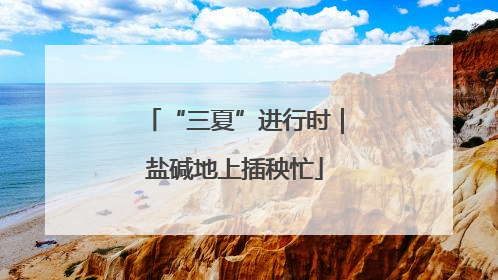 “三夏”进行时｜盐碱地上插秧忙