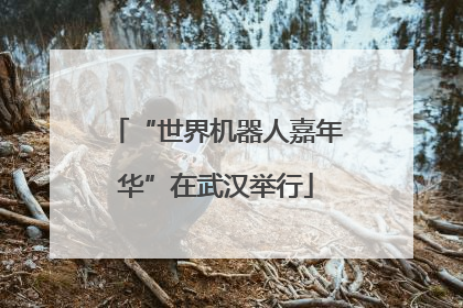 “世界机器人嘉年华”在武汉举行