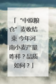 “中原粮仓”麦收结束 今年河南小麦产量咋样？品质如何？