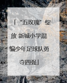 “五玫瑰”绽放 新城小学混编少年足球队勇夺四强
