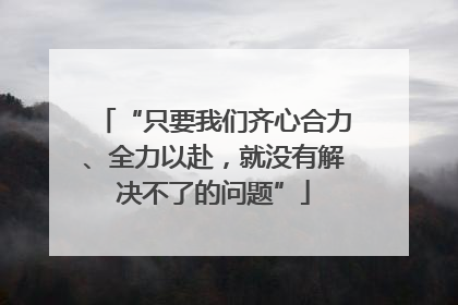 “只要我们齐心合力、全力以赴，就没有解决不了的问题”