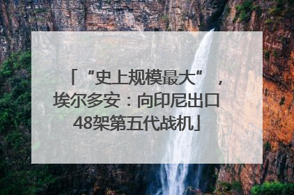 “史上规模最大”，埃尔多安：向印尼出口48架第五代战机
