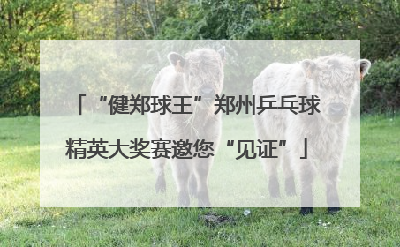 “健郑球王”郑州乒乓球精英大奖赛邀您“见证”
