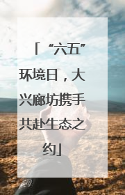 “六五”环境日，大兴廊坊携手共赴生态之约