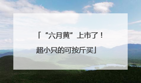 “六月黄”上市了！超小只的可按斤买