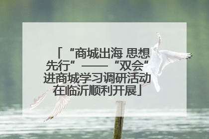 “商城出海 思想先行”——“双会”进商城学习调研活动在临沂顺利开展