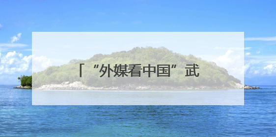 “外媒看中国”武汉段采访活动首站打卡武汉经开区