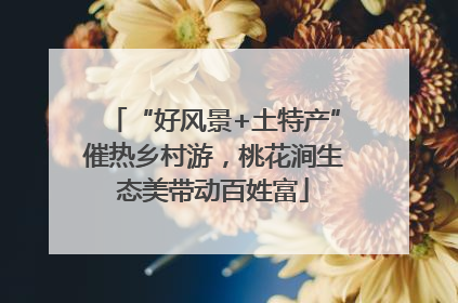 “好风景+土特产”催热乡村游，桃花涧生态美带动百姓富