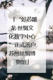 “彣芯雕龙·丝绸文化数字中心”正式落户苏州丝绸博物馆