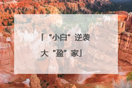“小白”逆袭大“盈”家