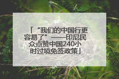 “我们的中国行更容易了”——印尼民众点赞中国240小时过境免签政策