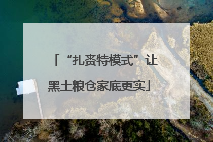 “扎赉特模式”让黑土粮仓家底更实