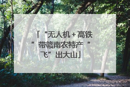 “无人机＋高铁”带赣南农特产“飞”出大山