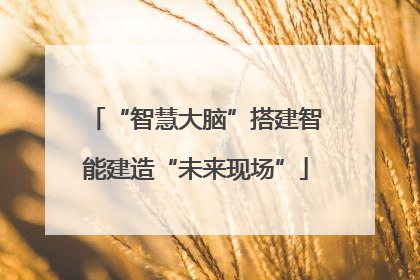 “智慧大脑”搭建智能建造“未来现场”