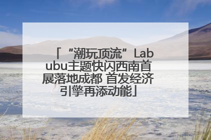 “潮玩顶流”Labubu主题快闪西南首展落地成都 首发经济引擎再添动能
