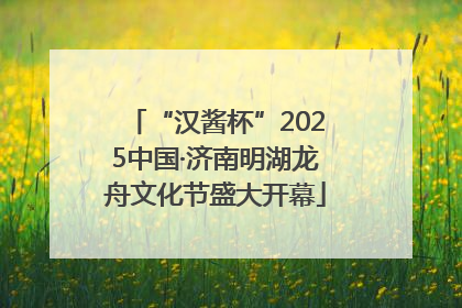 “汉酱杯”2025中国·济南明湖龙舟文化节盛大开幕