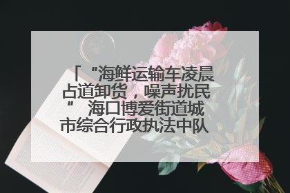 “海鲜运输车凌晨占道卸货，噪声扰民” 海口博爱街道城市综合行政执法中队：将联合交警加强长堤路一带巡逻