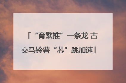 “育繁推”一条龙 古交马铃薯“芯”跳加速
