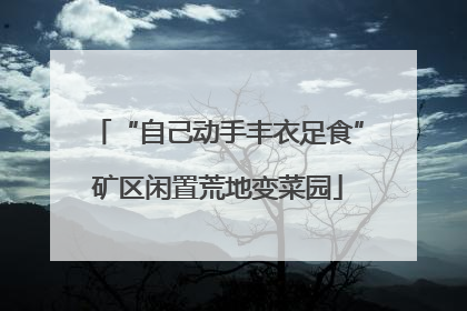 “自己动手丰衣足食”矿区闲置荒地变菜园