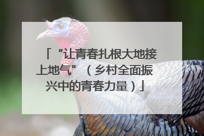 “让青春扎根大地接上地气”（乡村全面振兴中的青春力量）