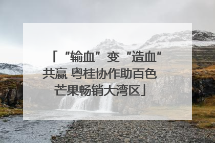 “输血”变“造血”共赢 粤桂协作助百色芒果畅销大湾区