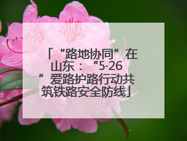 “路地协同”在山东：“5·26”爱路护路行动共筑铁路安全防线