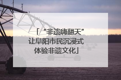 “非遗嗨翻天”让阜阳市民沉浸式体验非遗文化