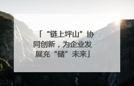 “链上坪山”协同创新，为企业发展充“储”未来