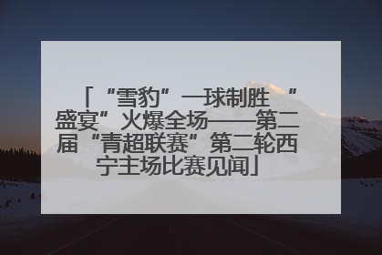 “雪豹”一球制胜 “盛宴”火爆全场——第二届“青超联赛”第二轮西宁主场比赛见闻