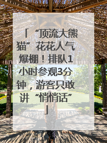 “顶流大熊猫”花花人气爆棚！排队1小时参观3分钟，游客只敢讲“悄悄话”