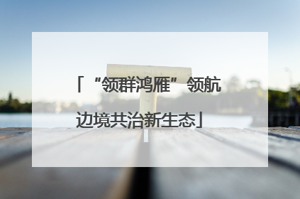 “领群鸿雁”领航边境共治新生态