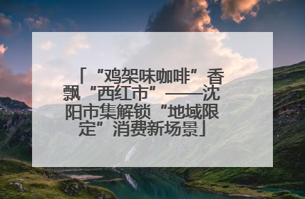 “鸡架味咖啡”香飘“西红市”——沈阳市集解锁“地域限定”消费新场景