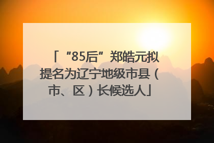 “85后”郑皓元拟提名为辽宁地级市县（市、区）长候选人